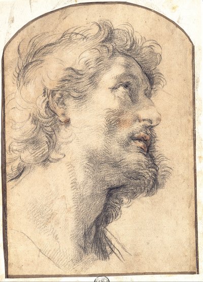 Studie des Kopfes von Heiliger Crispin von Benedetto Luti